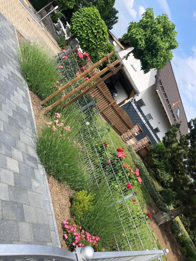 Ferienhaus Gluecksmoment Blankenburg  Eksteriør billede
